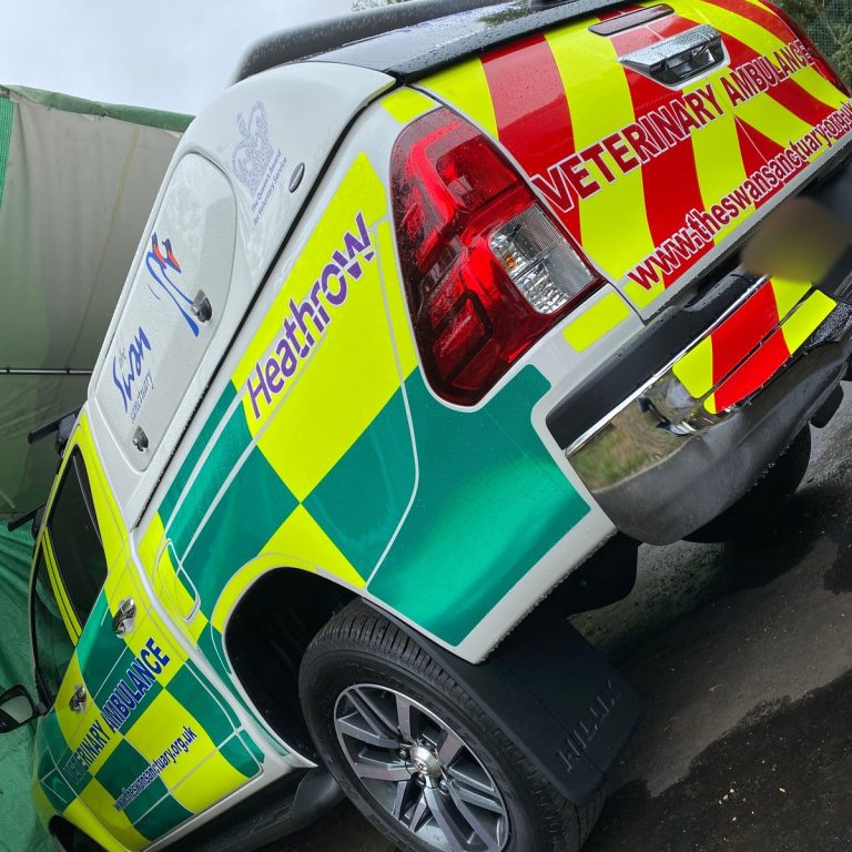 Swan Sanctuary veterinary ambulance pickup with red and yellow Chapter 8 rear chevrons and Battenburg side markings